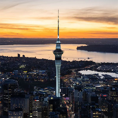 NZ Casino's Love Kiwis - Discover the various National Pride Symbols