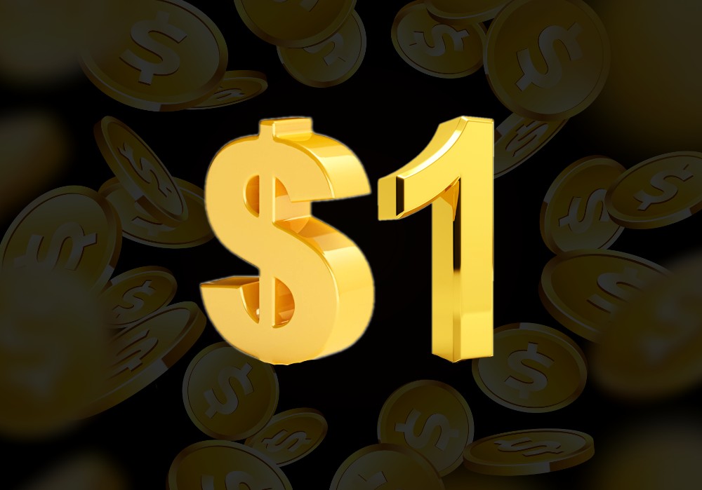 $1 NZ online Casinos